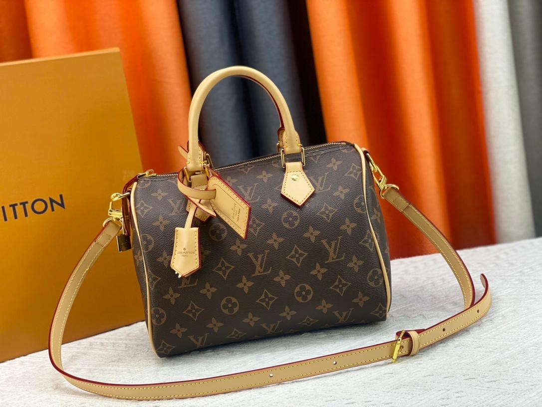 Louis Vuitton Damestas