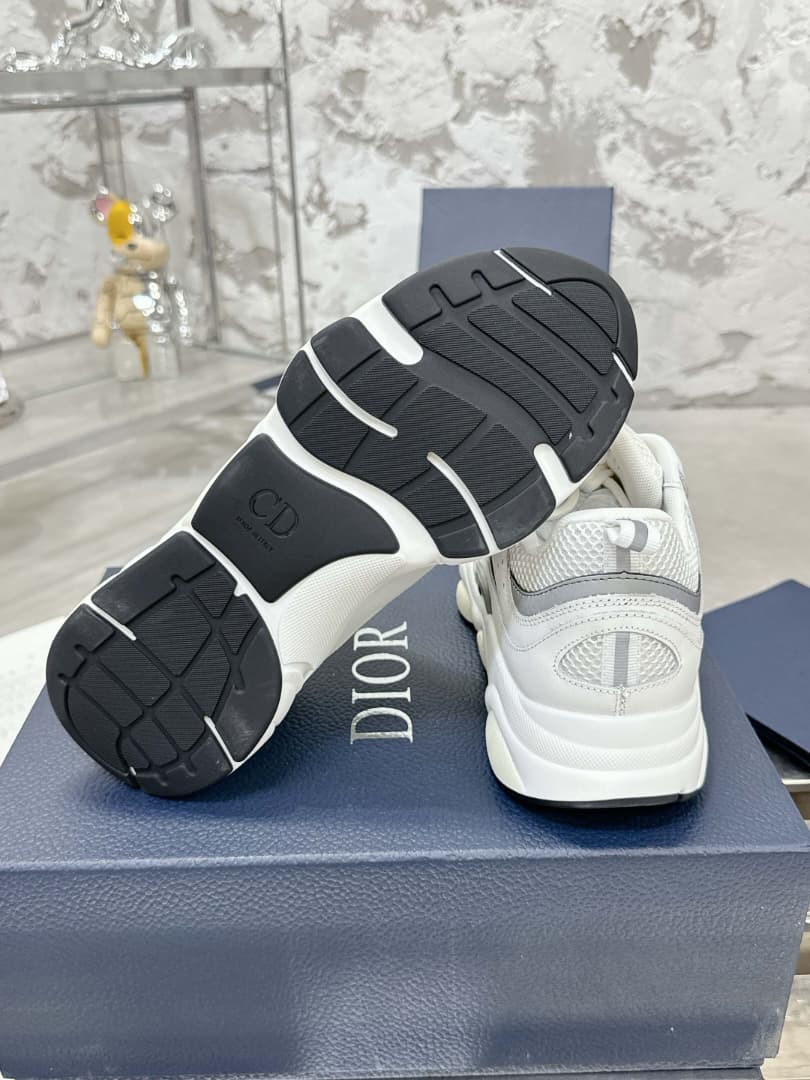 Christian Dior B22