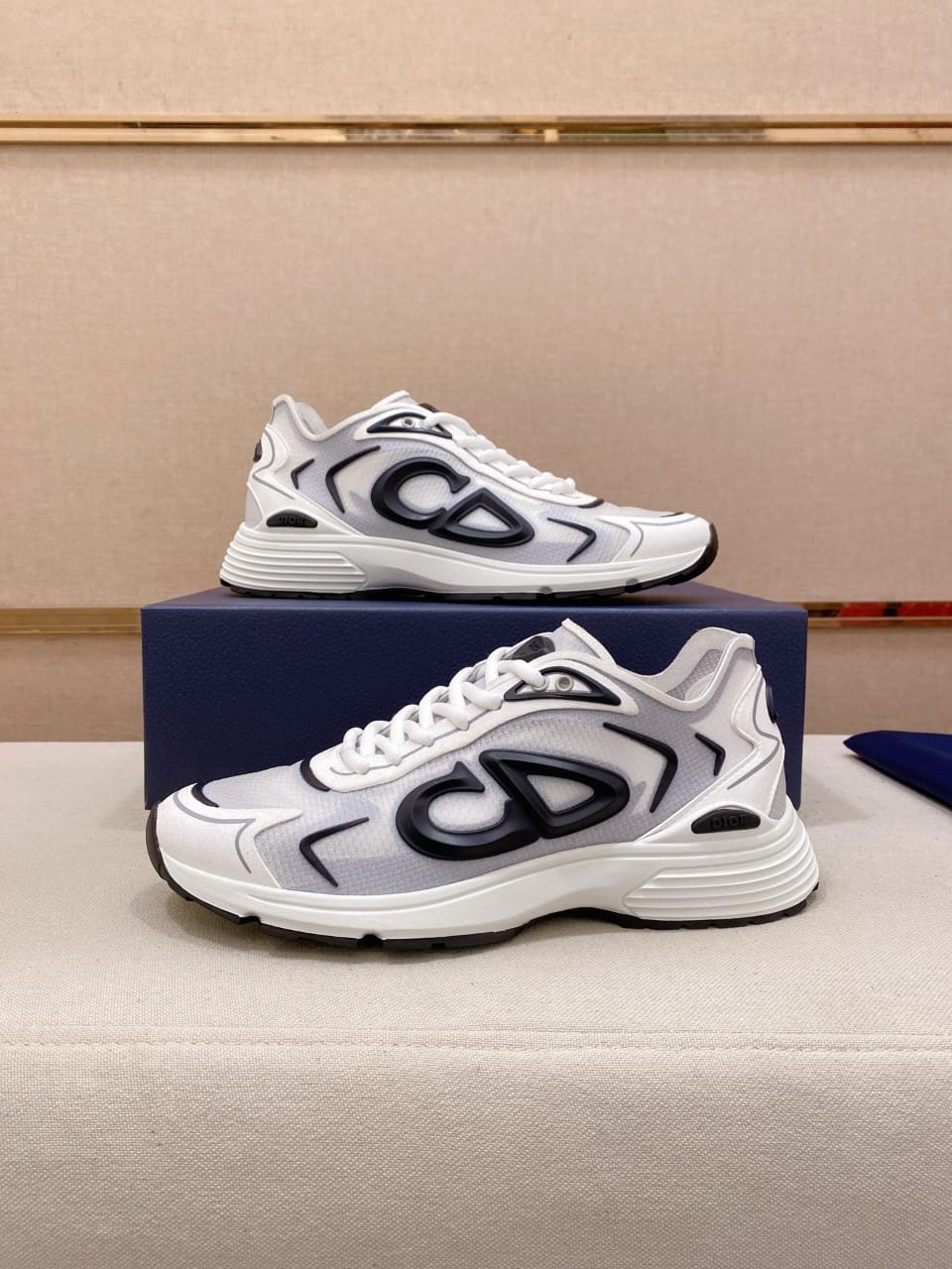 Christian Dior B30 2025