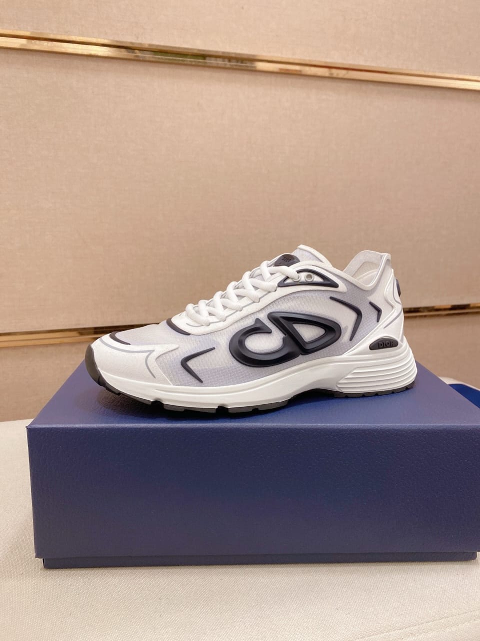 Christian Dior B30 2025