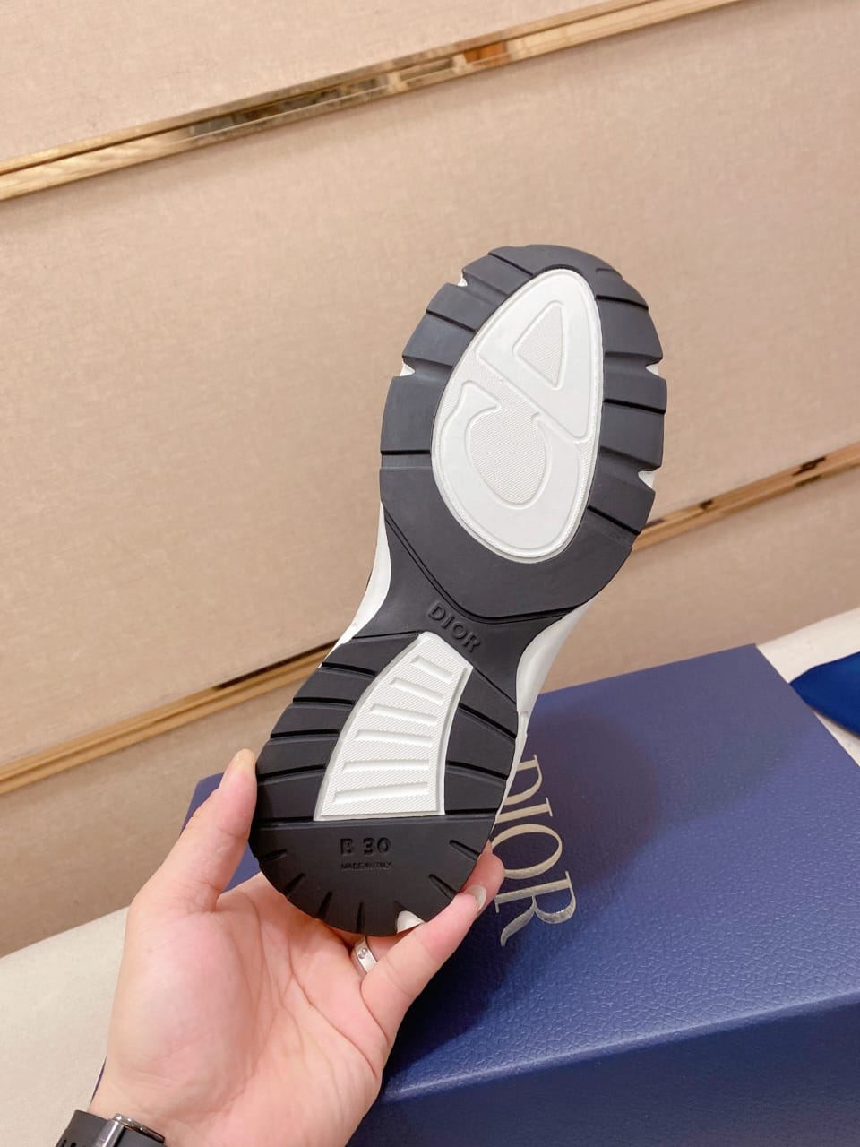 Christian Dior B30 2025