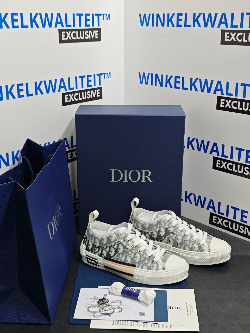 Dior B23 Low