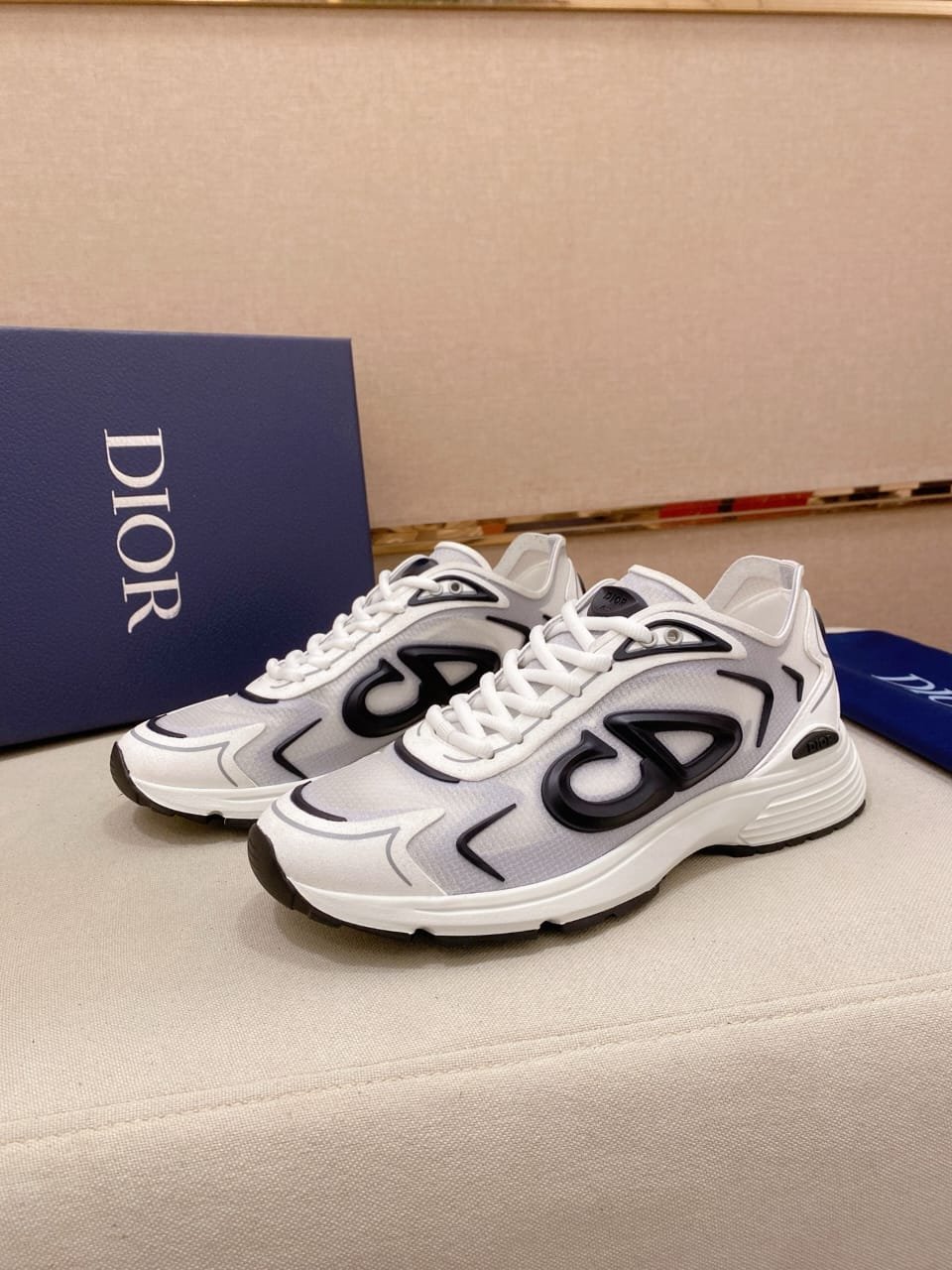 Christian Dior B30 2025